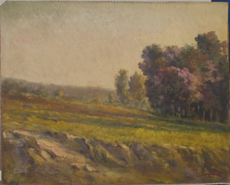 17 Pendio in campagna 48,5 X 39 - Tela.jpg