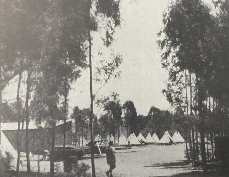 4-POW_Camp_Jessievale_Forestry.jpeg