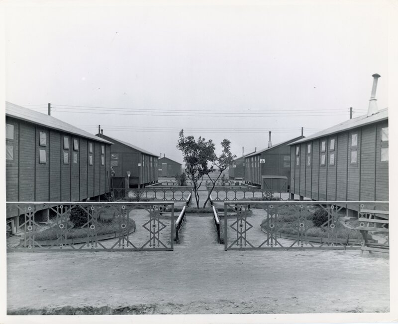 Lathrop California_garden tree front.jpg