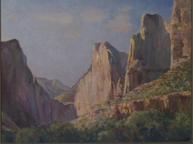 61 Colorado con vegetazione 47 X 34,5 - Legno.jpg