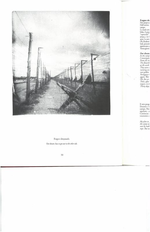 Saltamartini Lido_Our dream_4.jpg