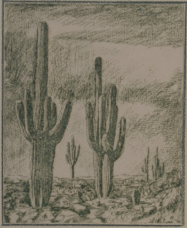 34 Cactus 18 X 22,2 - Tempera incollata su cartone.jpg