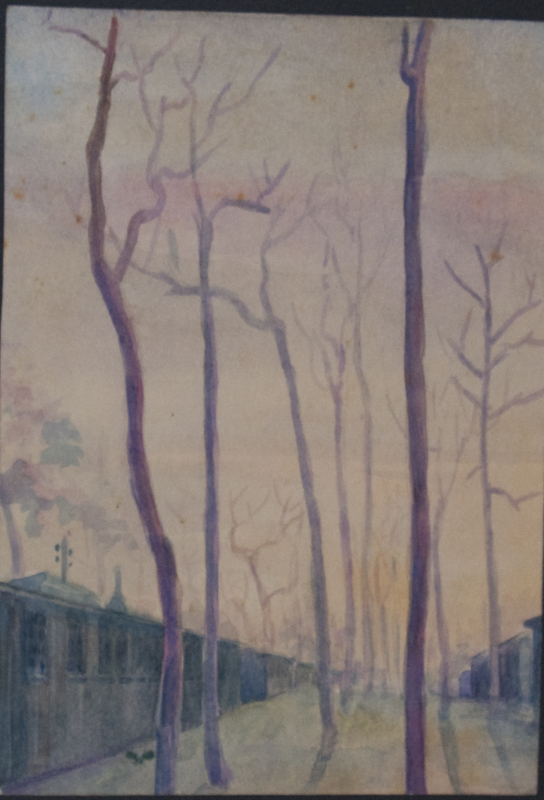 90 Alberi autunnali nel campo 13,7 X 19,5 -.jpg