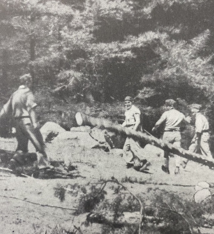 5-POWs working in Forestry.jpeg
